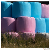 فیلم استرچ سیلاژ