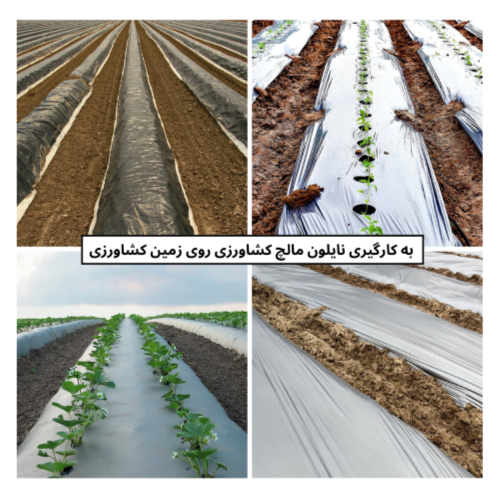 Agricultural Mulch Film