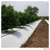 نایلون مالچ پلاستیکی باغبانی