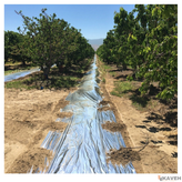 Gardening Plastic Mulch Film