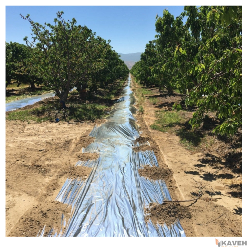 Gardening Plastic Mulch Film