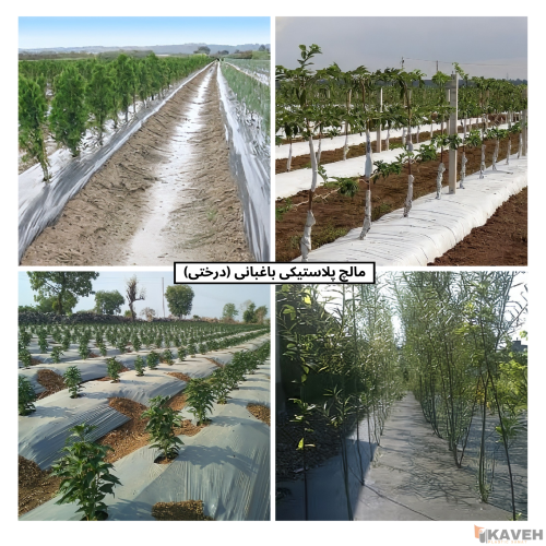 نایلون مالچ پلاستیکی باغبانی