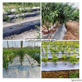 Gardening Plastic Mulch Film