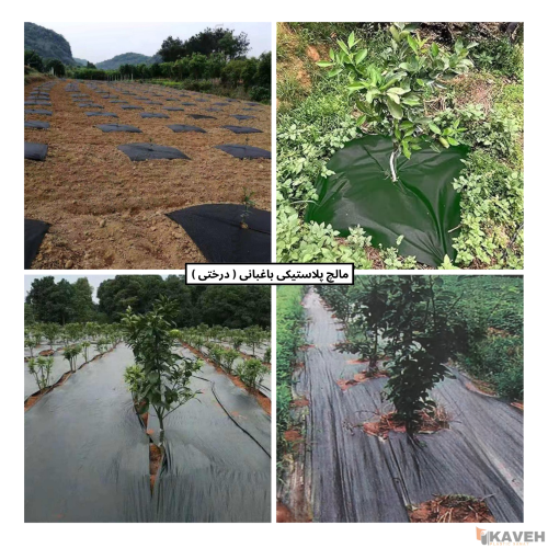 نایلون مالچ پلاستیکی باغبانی