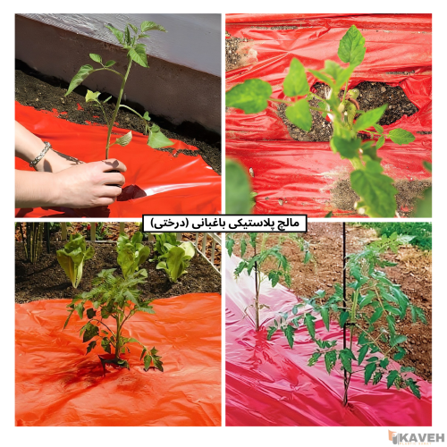 نایلون مالچ پلاستیکی باغبانی