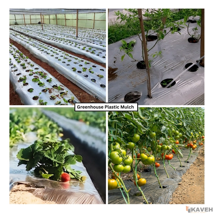 Greenhouse Plastic Mulch
