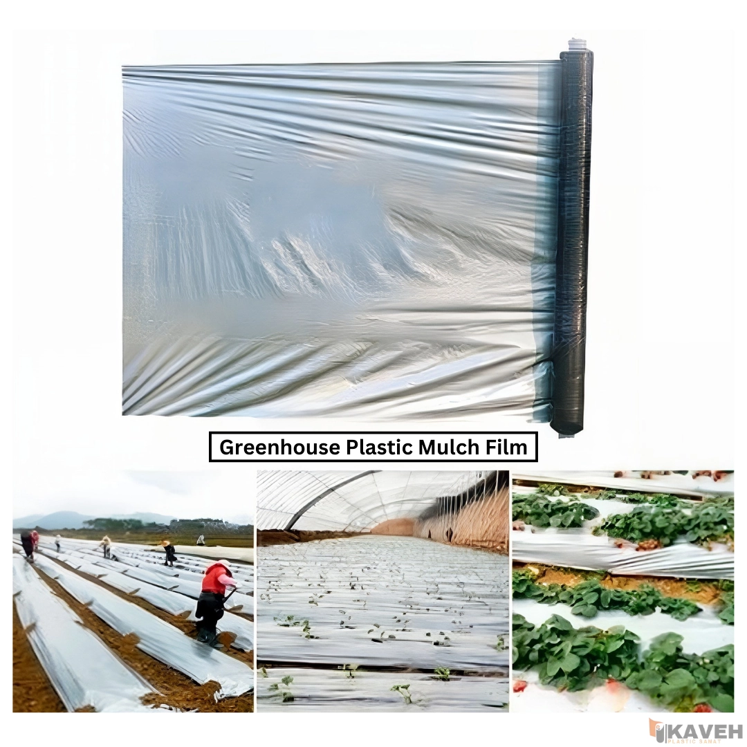 Greenhouse Plastic Mulch