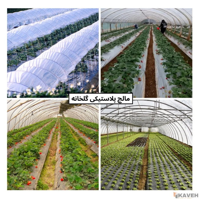 نایلون مالچ گلخانه