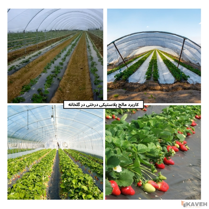 Greenhouse Plastic Mulch