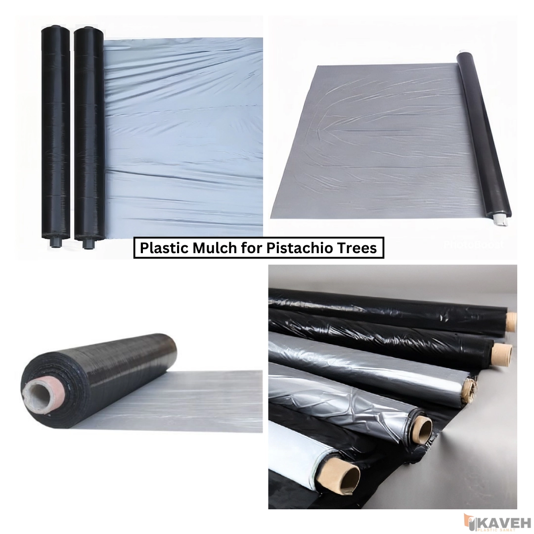 Plastic Mulch for Pistachio Trees