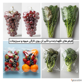 فیلم پلاستیکی نگهدارنده میوه و سبزیجات