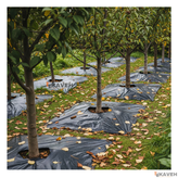 قیمت مالچ پلاستیکی