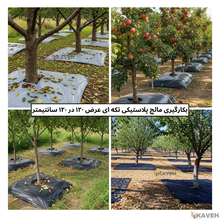 مالچ پلاستیکی باغچه ای ۱۲۰ در ۱۲۰ سانتیمتر