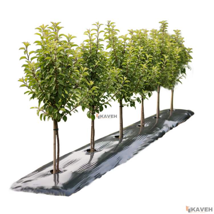 مالچ پلاستیکی باغچه ای یک کیلویی عرض ۱4۰ سانتیمتر