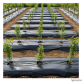 مالچ پلاستیکی باغچه ای یک کیلویی عرض ۱۲۰ سانتیمتر