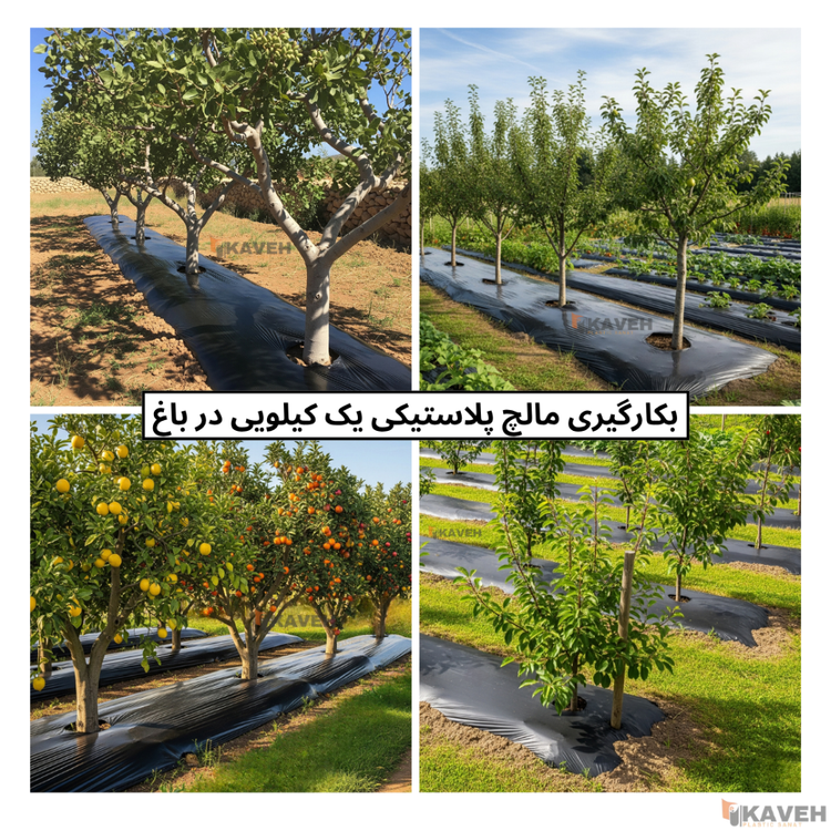 مالچ پلاستیکی درختی