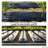 مالچ پلاستیکی باغچه ای یک کیلویی عرض ۱۲۰ سانتیمتر