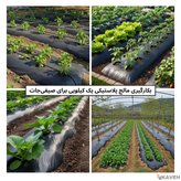 مالچ پلاستیکی باغچه ای یک کیلویی عرض ۱۲۰ سانتیمتر