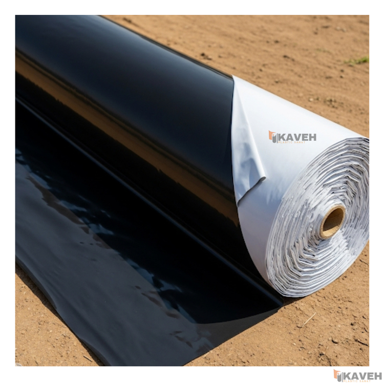 مالچ پلاستیکی