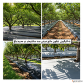 مالچ پلاستیکی باغبانی
