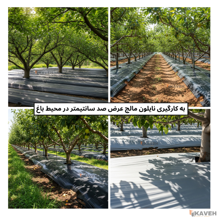 مالچ پلاستیکی باغبانی