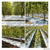 مالچ پلاستیکی درختی