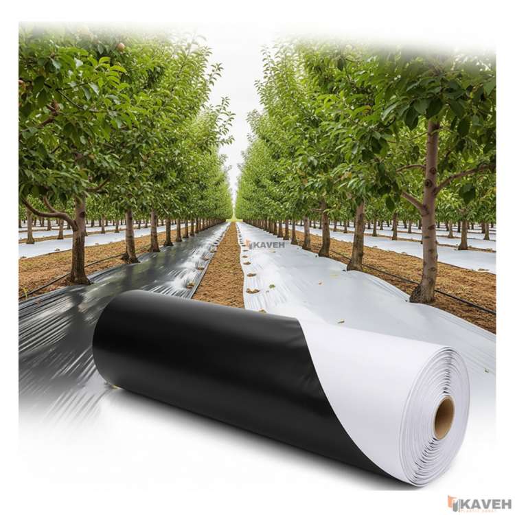 مالچ پلاستیکی عرض ۱۲۰ سانتیمتر