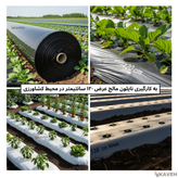 مالچ پلاستیکی عرض ۱۲۰ سانتیمتر