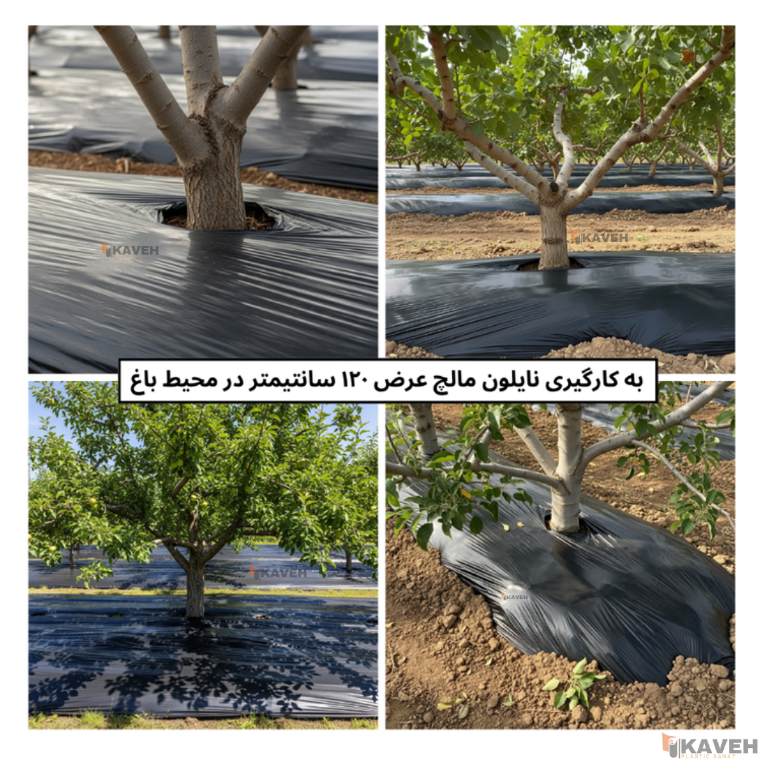 مالچ پلاستیکی عرض ۱۲۰ سانتیمتر