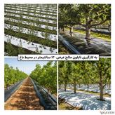 مالچ پلاستیکی عرض ۱۲۰ سانتیمتر