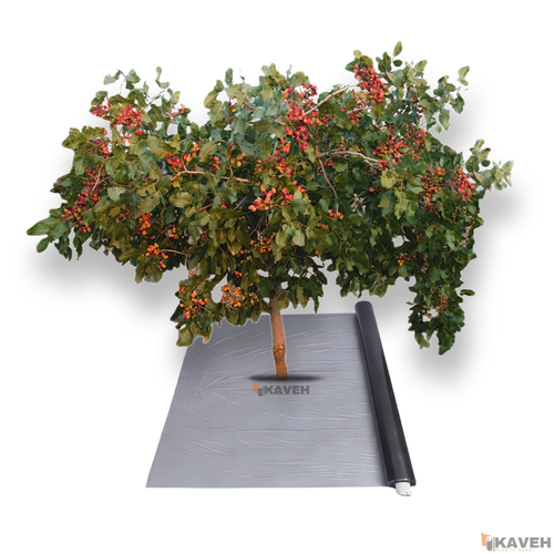 مالچ پلاستیکی درخت پسته