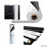 مالچ پلاستیکی