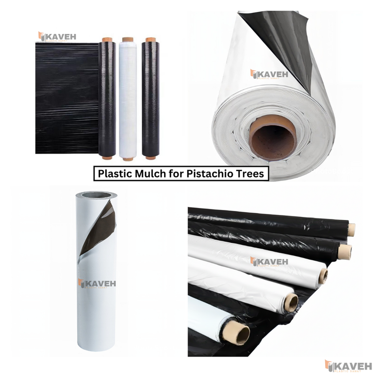 مالچ پلاستیکی