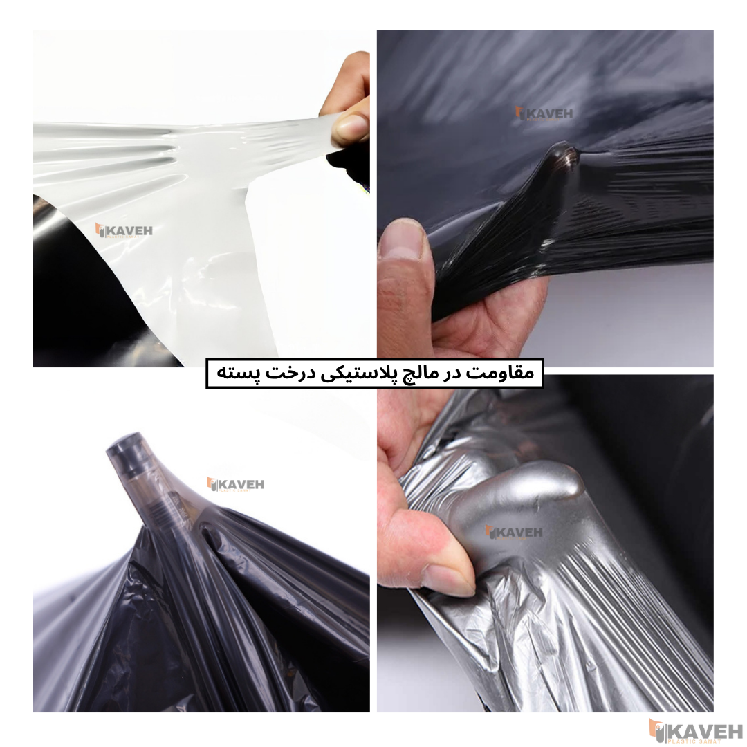 نایلون مالچ مناسب درخت پسته