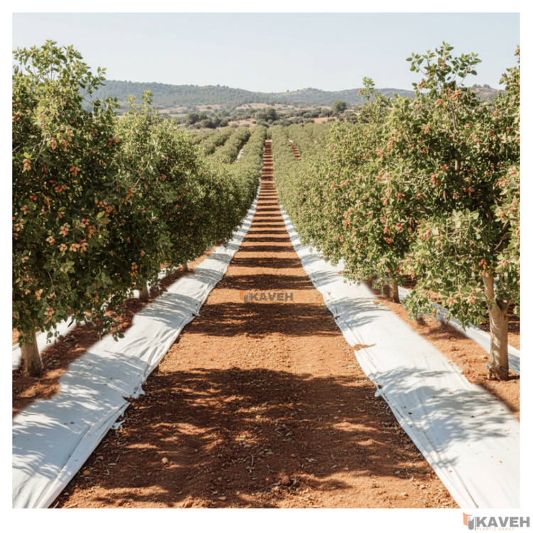 مالچ پلاستیکی