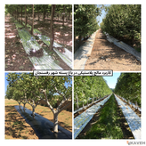 فروش اینترنتی مالچ پلاستیکی