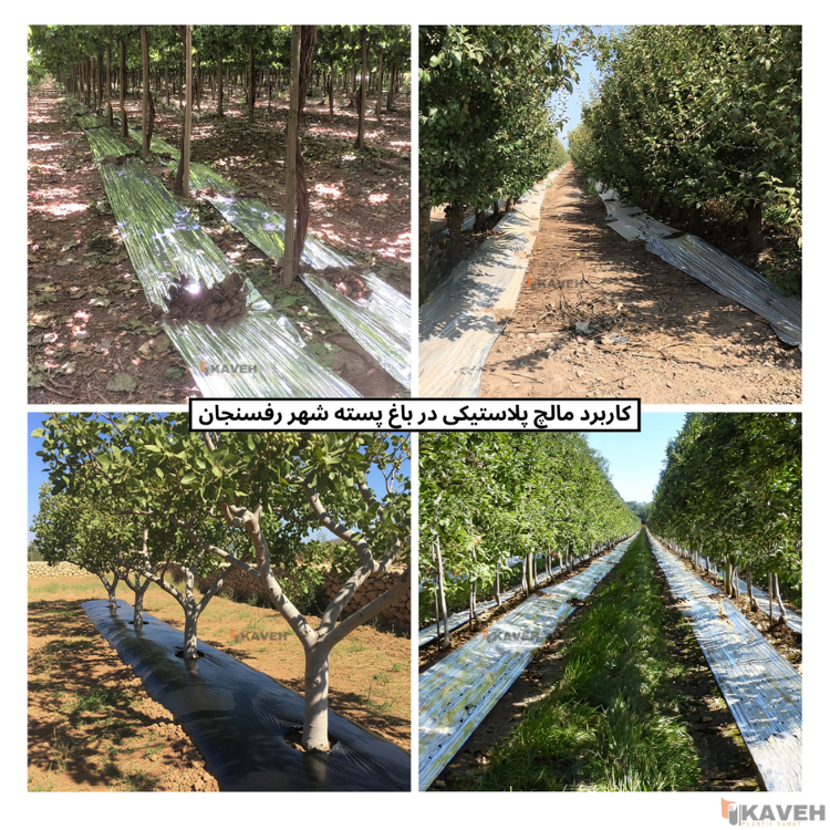 فروش اینترنتی مالچ پلاستیکی