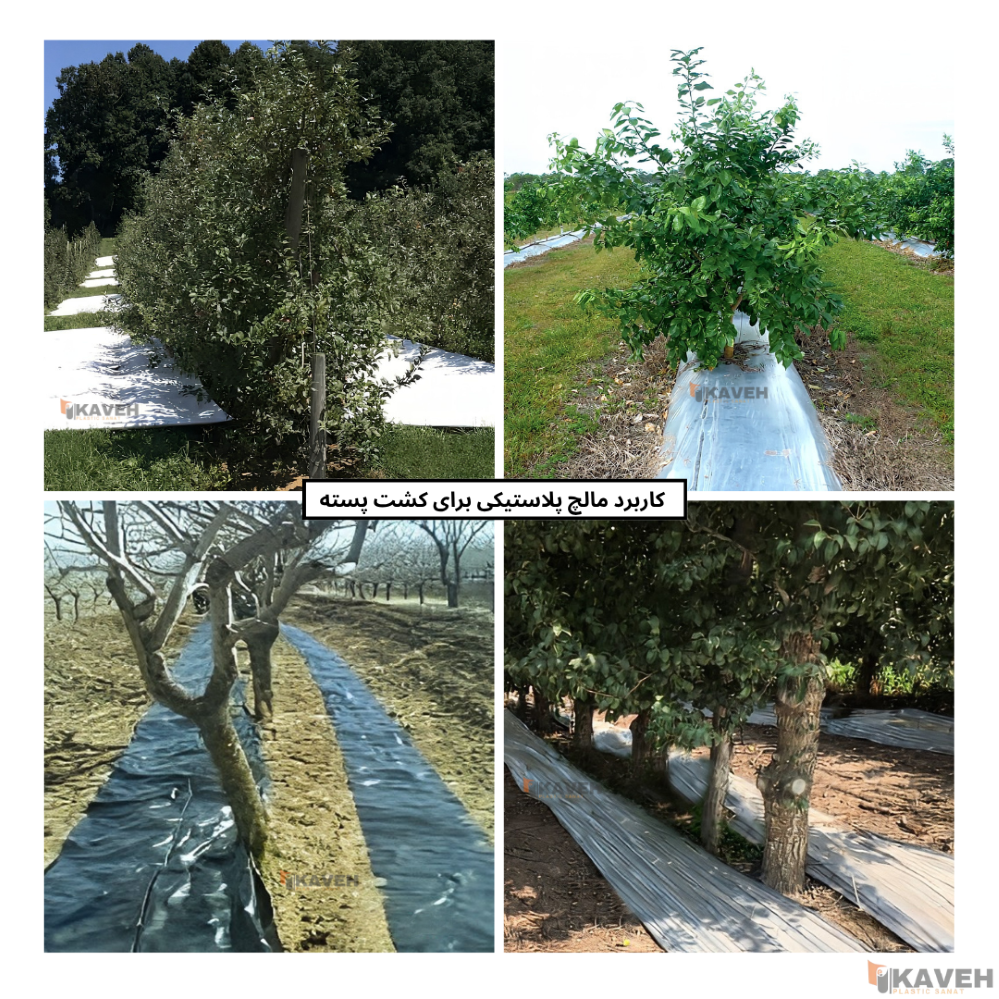 خرید مالچ پلاستیکی