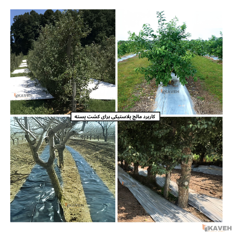 خرید مالچ پلاستیکی