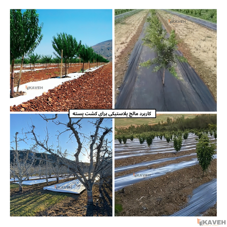 قیمت مالچ پلاستیکی