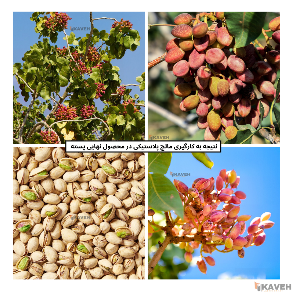 نایلون مالج