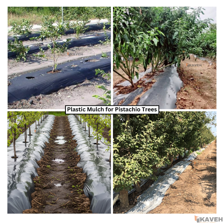 مالچ پلاستیکی باغبانی