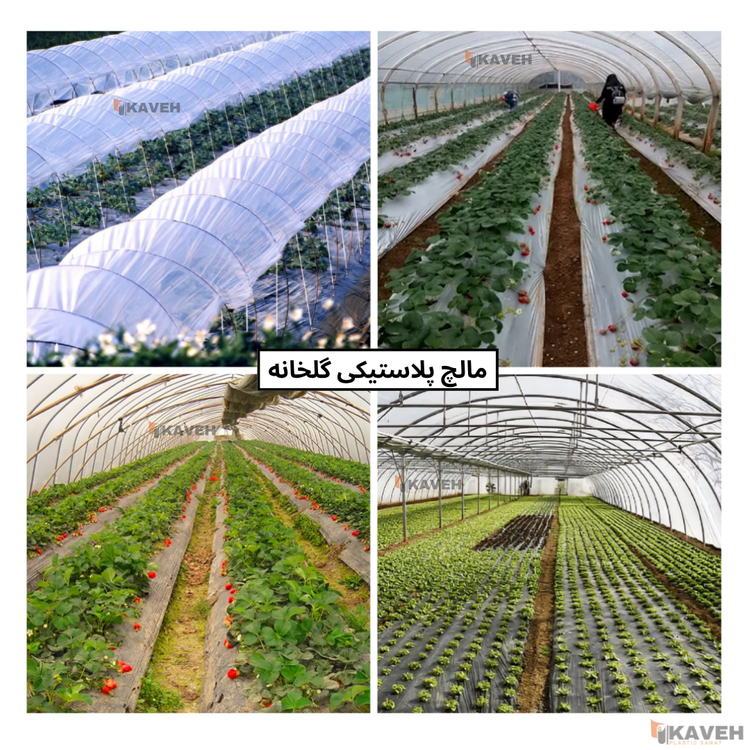 نایلون مالچ گلخانه