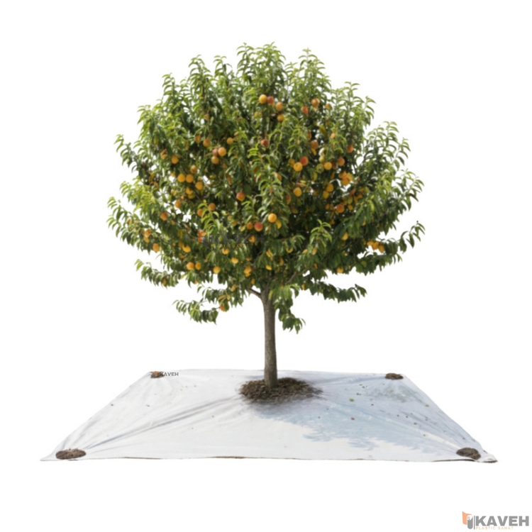 مالچ پلاستیکی ۱۴۰ در ۱۴۰ سانتیمتر با ضخامت ۱۰۰ میکرون بسته هشت عددی