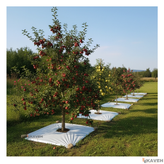 مالچ پلاستیکی ۱۴۰ در ۱۴۰ سانتیمتر با ضخامت ۱۰۰ میکرون بسته هشت عددی