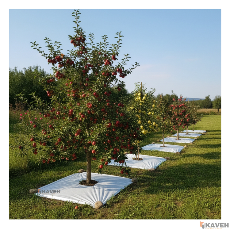 مالچ پلاستیکی ۱۴۰ در ۱۴۰ سانتیمتر با ضخامت ۱۰۰ میکرون بسته هشت عددی