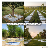 مالچ پلاستیکی ۱۴۰ در ۱۴۰ سانتیمتر با ضخامت ۱۰۰ میکرون بسته هشت عددی