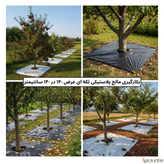 مالچ پلاستیکی ۱۴۰ در ۱۴۰ سانتیمتر با ضخامت ۱۰۰ میکرون بسته هشت عددی
