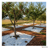 مالچ پلاستیکی ۱۴۰ در ۱۴۰ سانتیمتر با ضخامت ۱۰۰ میکرون بسته هشت عددی