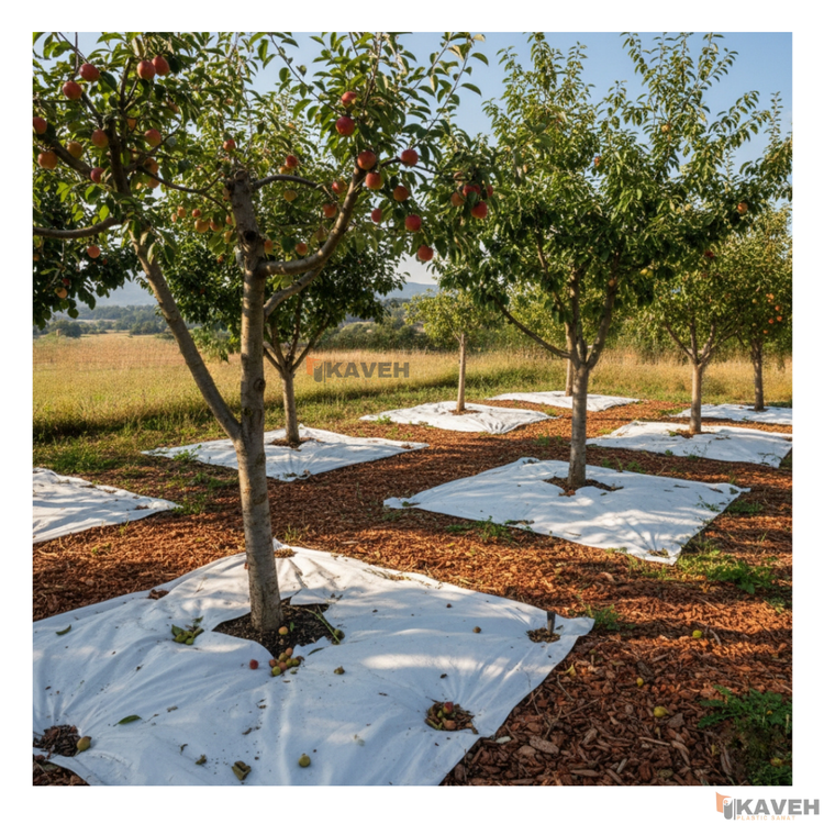 مالچ پلاستیکی ۱۴۰ در ۱۴۰ سانتیمتر با ضخامت ۱۰۰ میکرون بسته هشت عددی